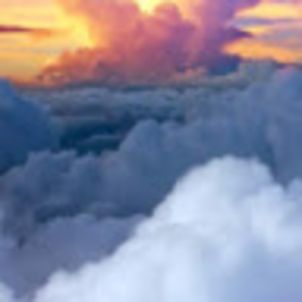 Meet your Posher, Bam